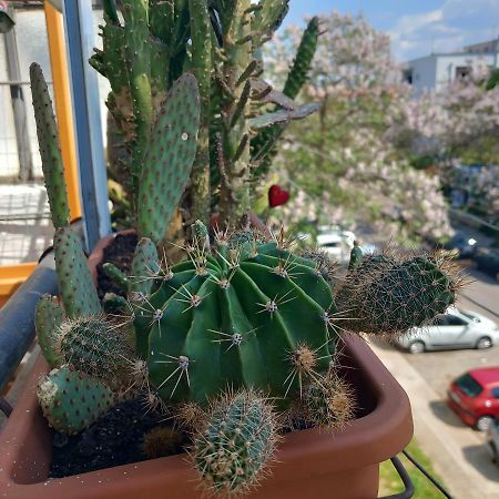 Atelje Appartement Podgorica Buitenkant foto