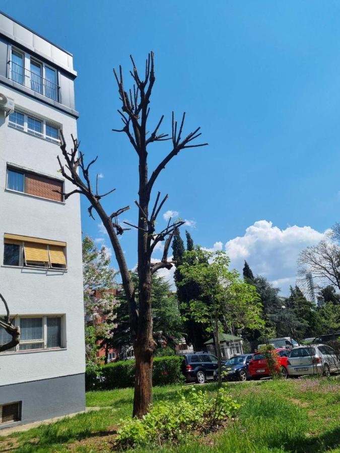 Atelje Appartement Podgorica Buitenkant foto