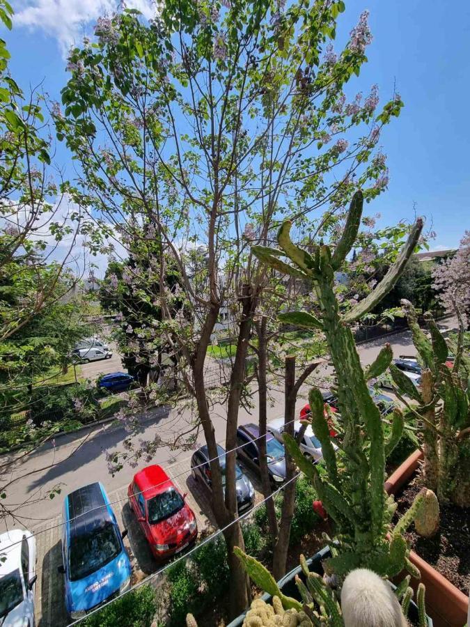 Atelje Appartement Podgorica Buitenkant foto